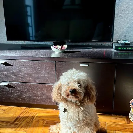 Appartement Modern Comfort Near Inalpi Arena *